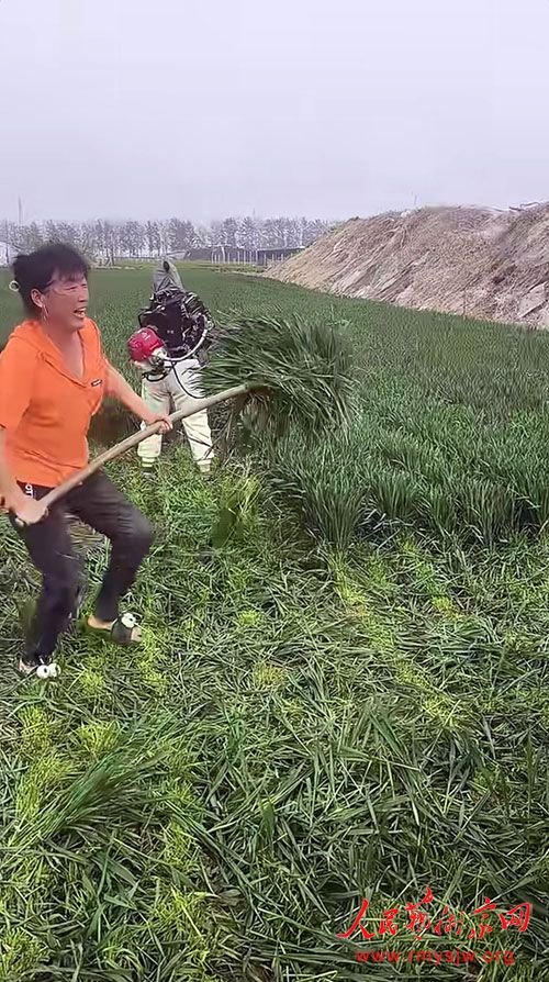 �� �ģ�Ī�á��ഢС�󡱿�ʳ��ʳ��ȫ����