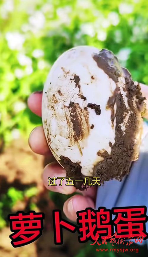 �ӡ��ܲ��ض쵰����ƫ��ƭ�֣����ý������Ǳ���ո�����