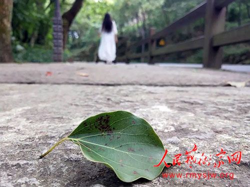 女人至死是宝宝 女人至死是宝宝